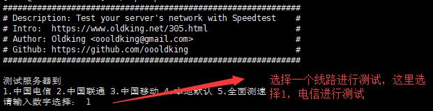 Linux VPS速度测试方法步骤2