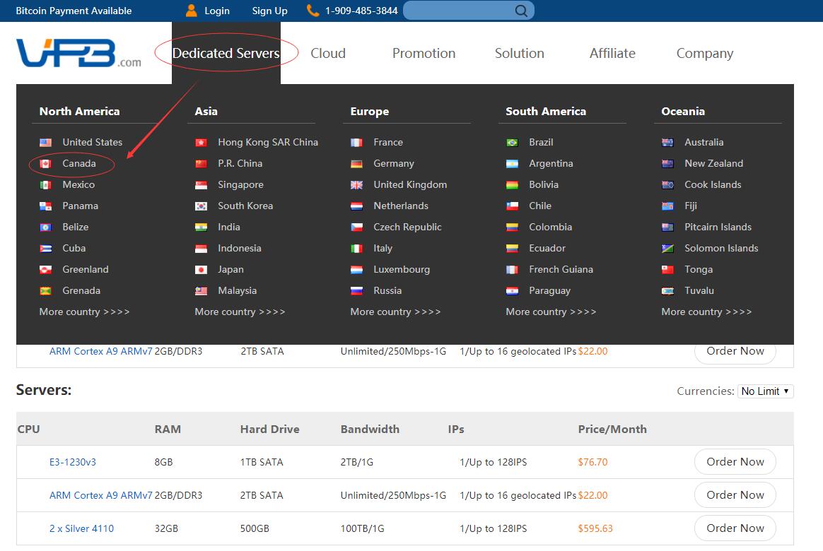 VPB加拿大独立服务器购买教程