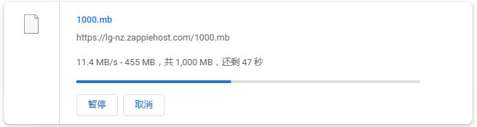 Zappie Host新西兰VPS测评 - 本地下载速度