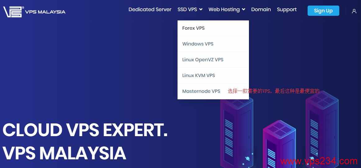 东南亚VPS VPSMalaysia首页