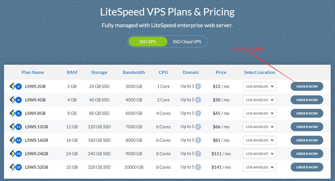 选择 iozoom LiteSpeed VPS 相应的套餐