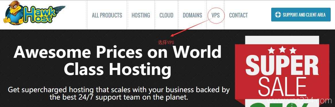 老鹰主机 VPS 购买 - 首页选择VPS