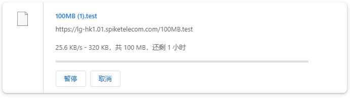 SpikeTel香港VPS - 本地下载速度测试