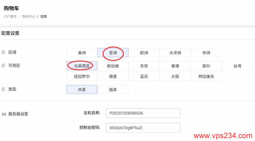 RAKsmart马来西亚VPS购买教程-节点选择