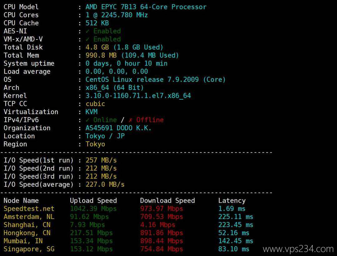 IPRaft日本VPS网络测试-性能和速度