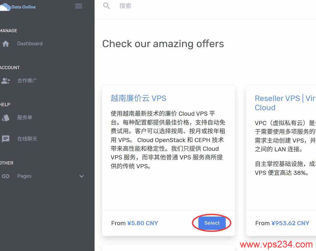 DataOnline越南VPS购买教程-产品选择