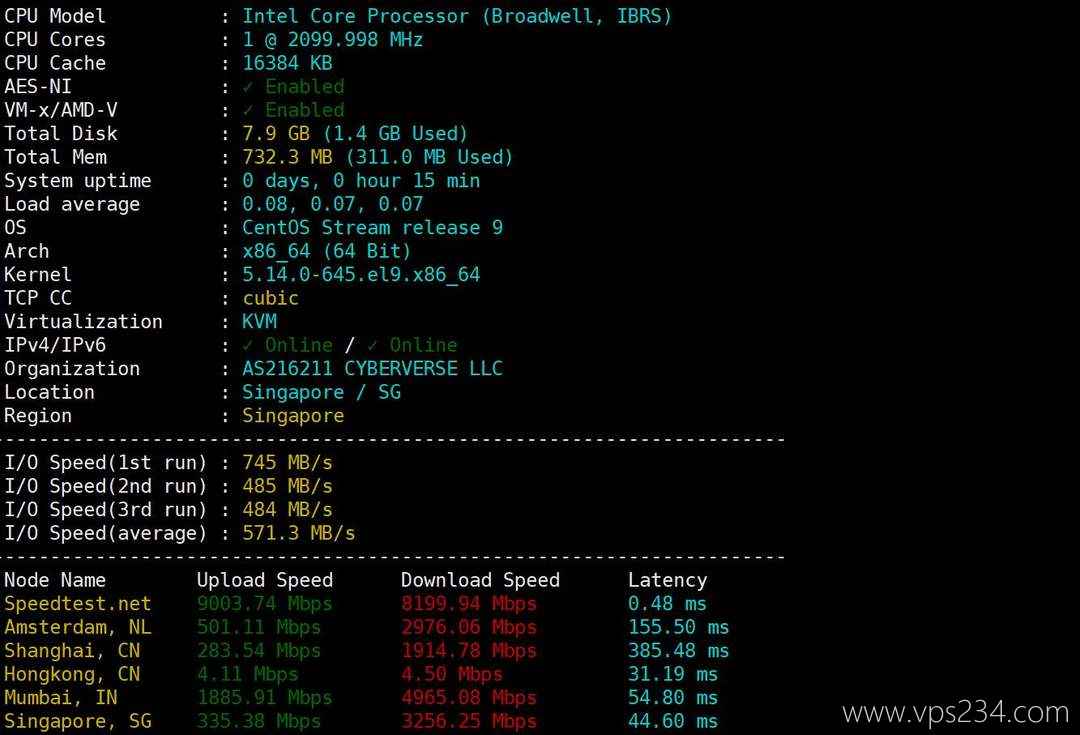 Skyline Connect新加坡VPS网络测试-性能和速度