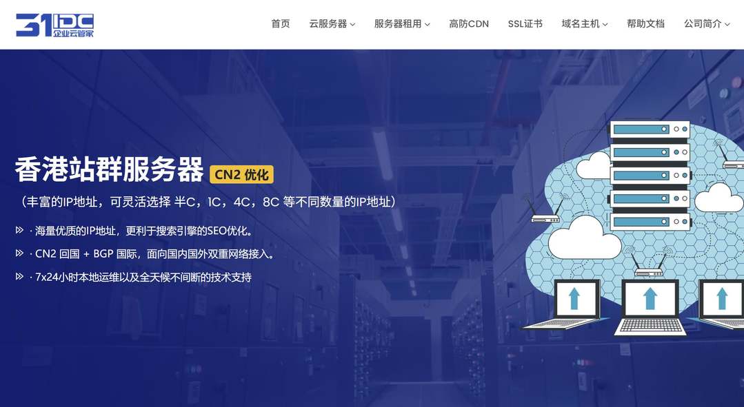 31IDC:香港站群服务器-232个IP-CN2优化线路
