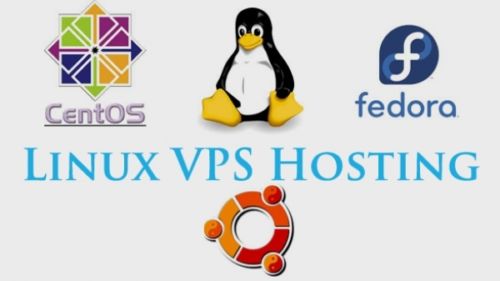 超级便宜美国 Linux VPS介绍，为新手推荐高性价比的美国 Linux VPS