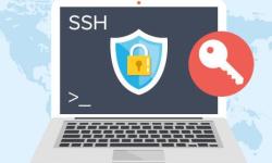 最便宜台湾Linux VPS推荐，大陆访问超快