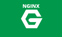 Linux 设置 Nginx 并配置SSL 实现HTTPS/WSS协议访问新手教程
