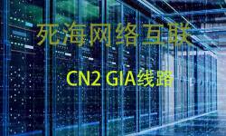 9shost 海外VPS介绍 - CN2 GIA 线路支持