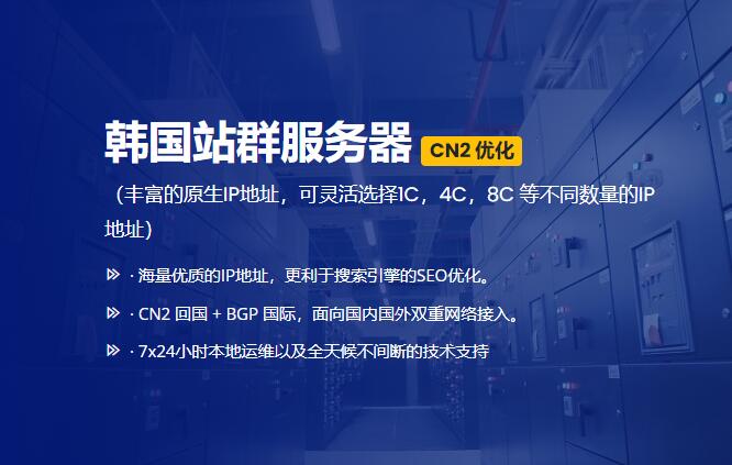 31IDC：韩国站群服务器测评 - 支持多达250个以上IP