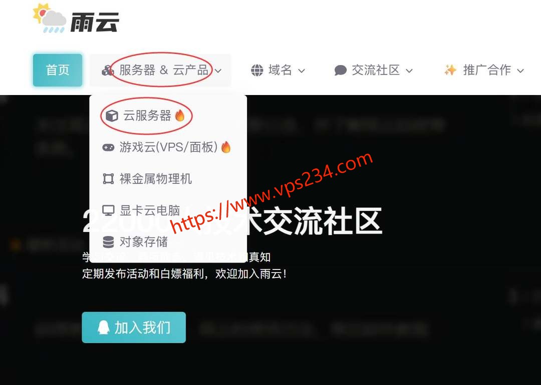 雨云德国VPS购买教程-首页入口