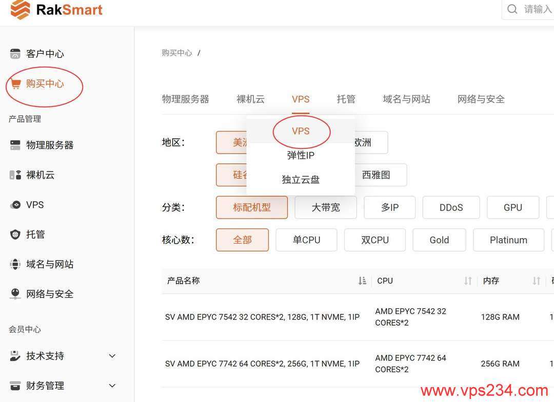 RAKsmart墨西哥VPS购买教程-产品选择