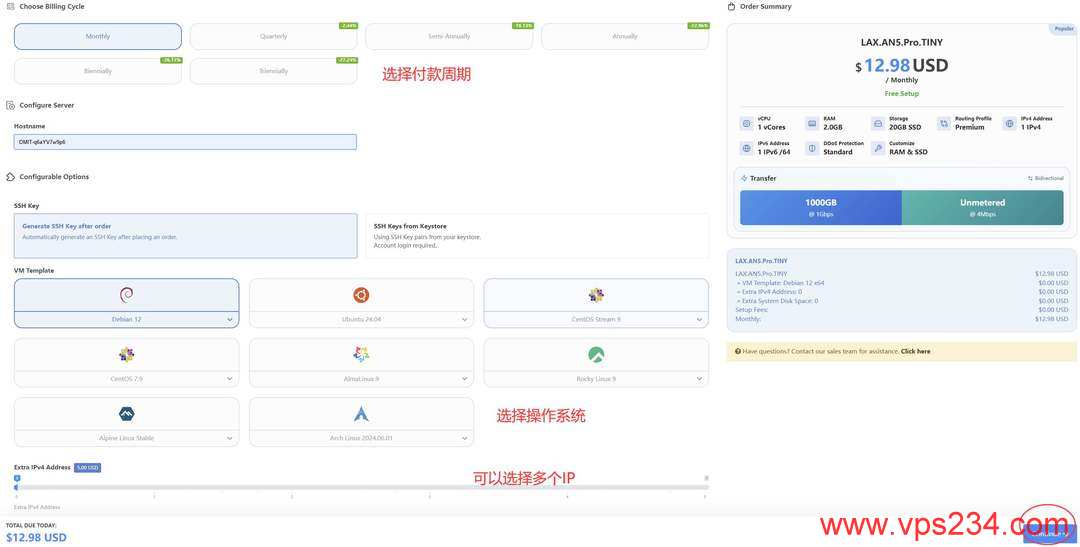 DMIT美国CN2 GIA VPS购买教程-订单页面确认