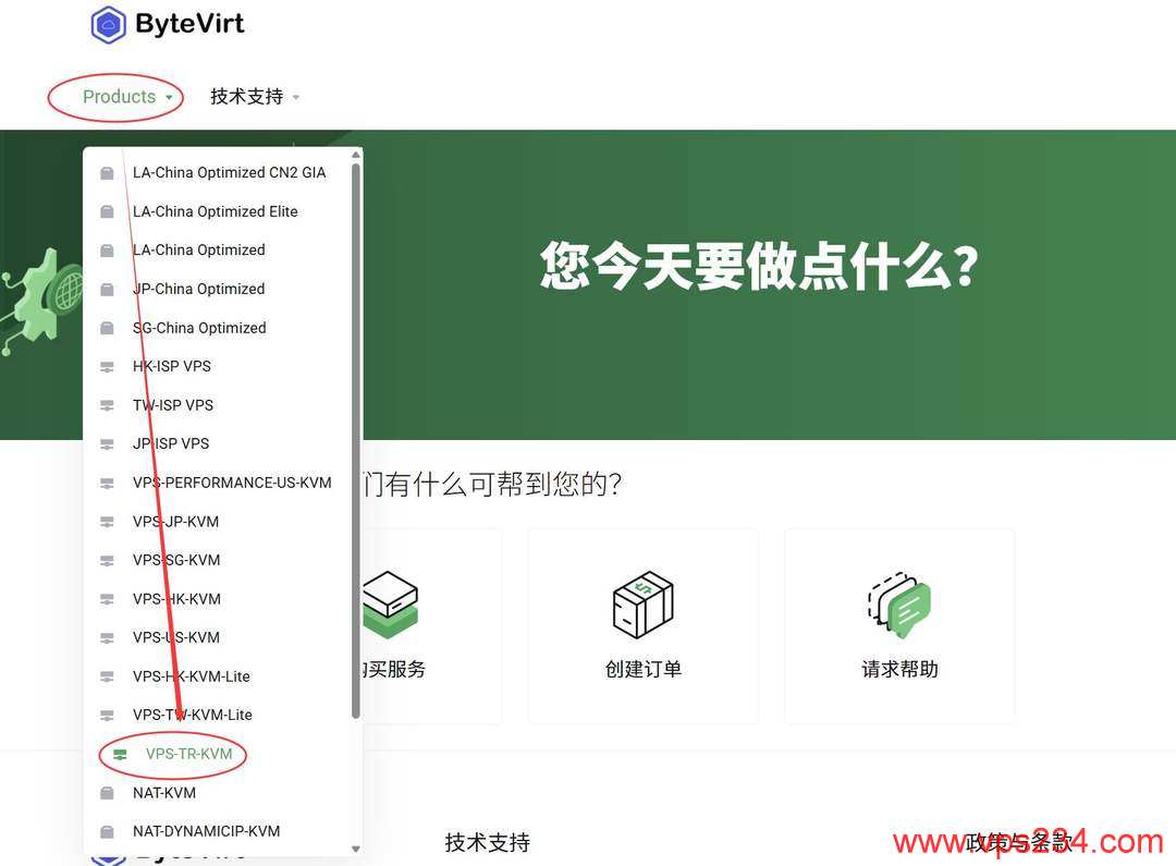 ByteVirt土耳其VPS购买教程-节点选择