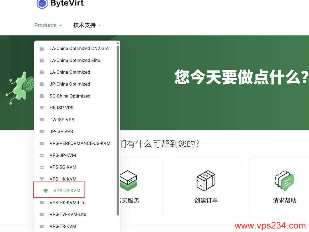ByteVirt美国VPS购买教程-产品入口