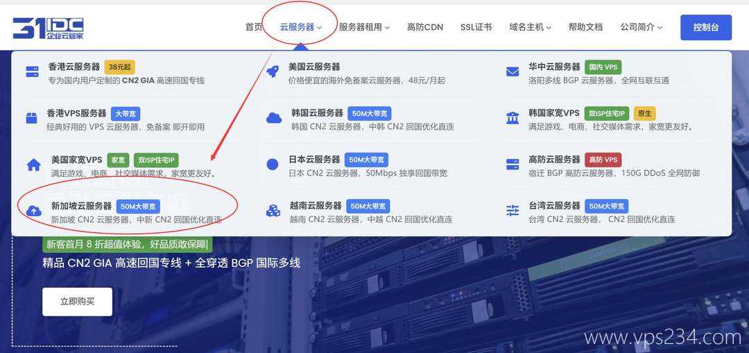 31IDC新加坡VPS购买教程-产品入口