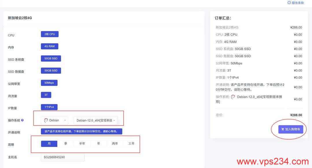31IDC新加坡VPS购买教程-配置选择