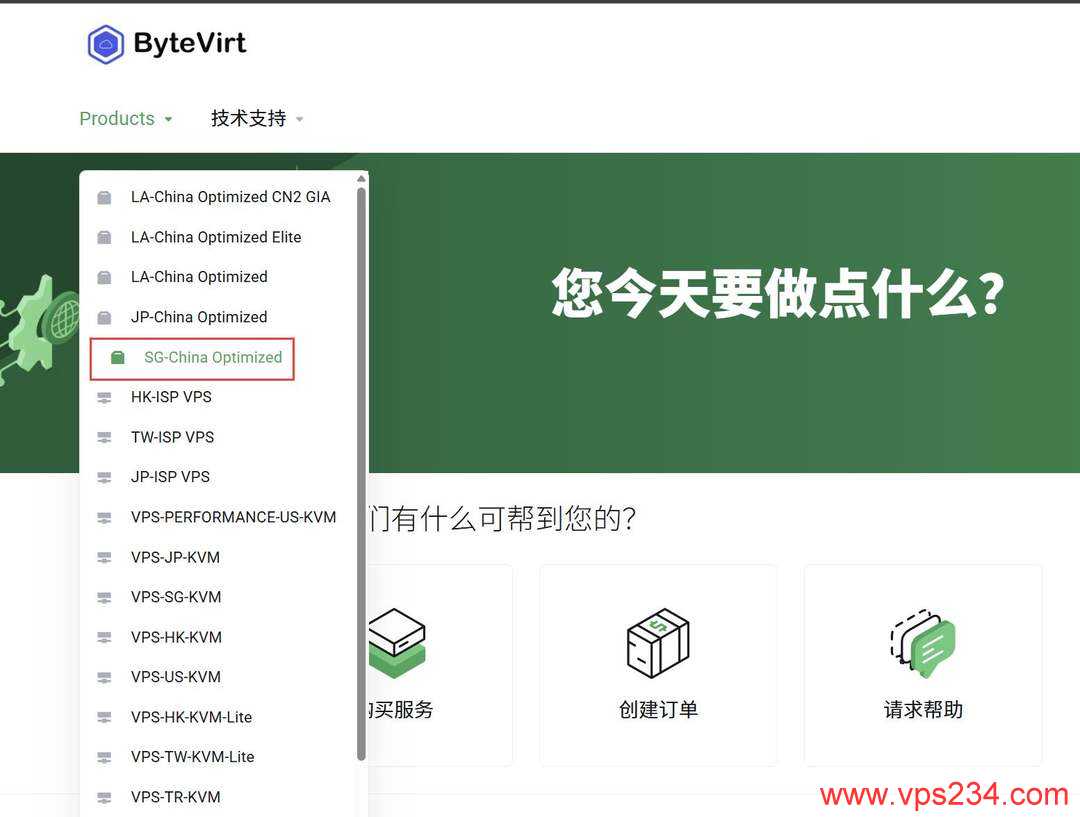 ByteVirt新加坡VPS购买教程-节点选择