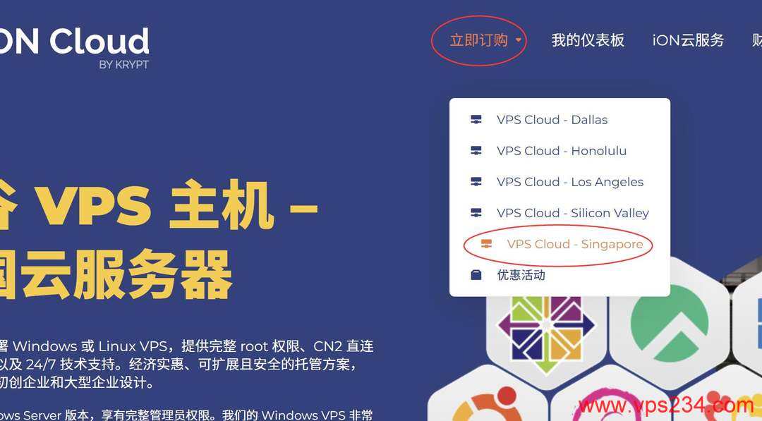 iON新加坡VPS购买教程-产品选择