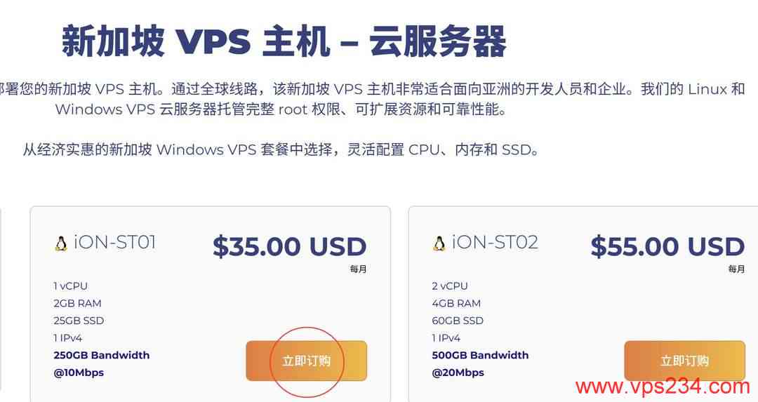 iON新加坡VPS购买教程-套餐选择