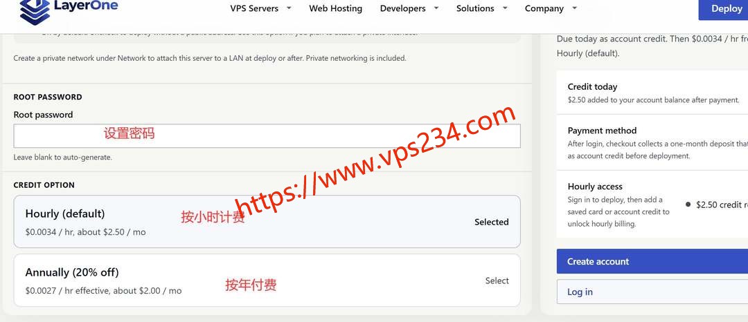 LayerOne美国VPS购买教程-付款周期选择