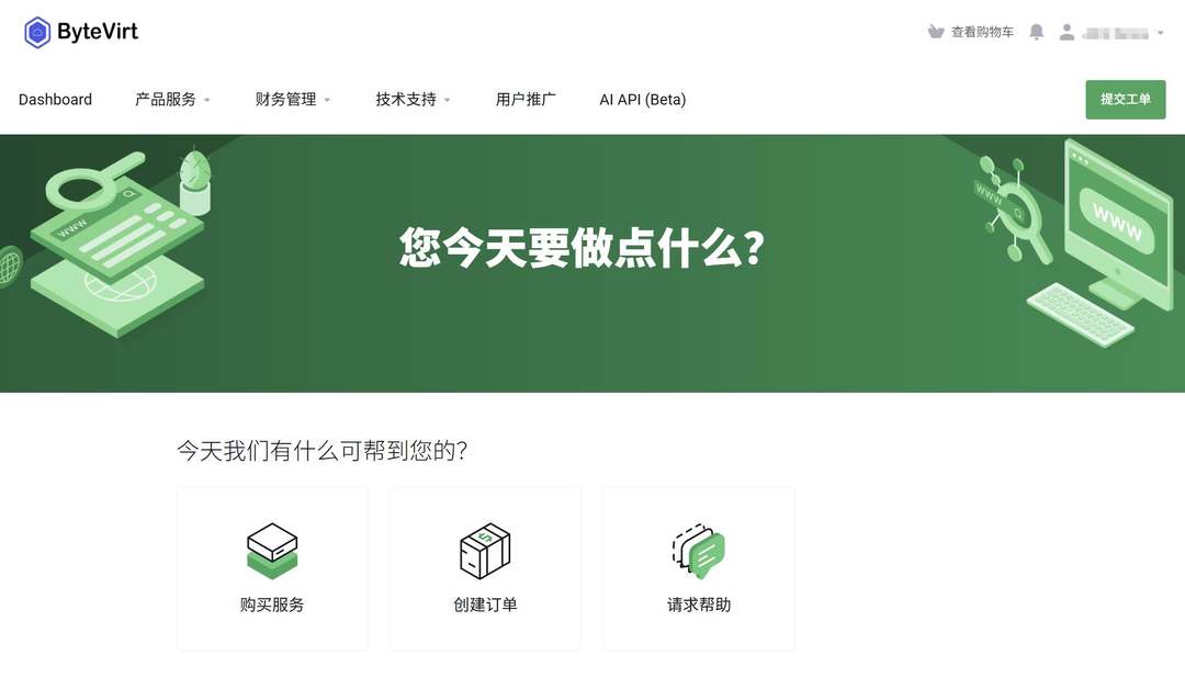 ByteVirt：美国CN2 GIA VPS-500Mbps带宽-66美元/年