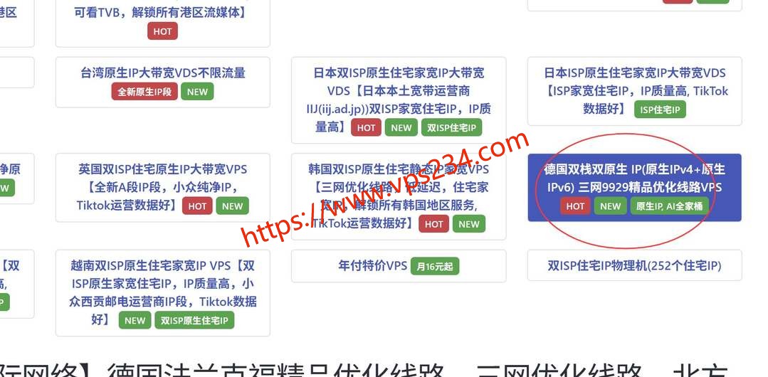 丽萨主机德国VPS购买教程-德国双栈双原生IP节点